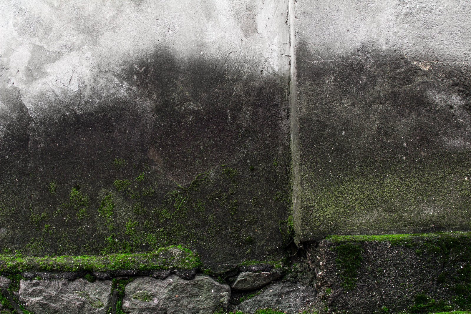 Concrete Defect Inspection Services | PM+